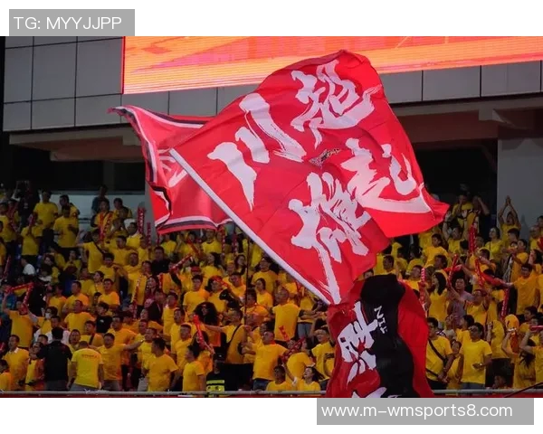 四川足球最新动态分析与未来发展趋势探讨